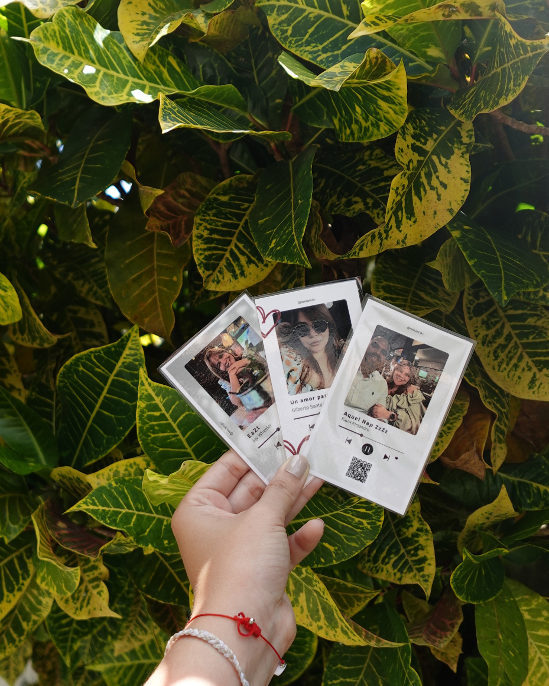 Tarjeta de canción plastificada